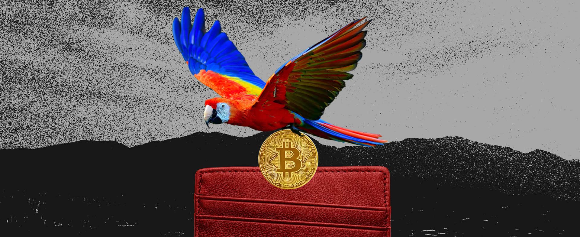 De un secuestro en Francia a una billetera cripto en Venezuela