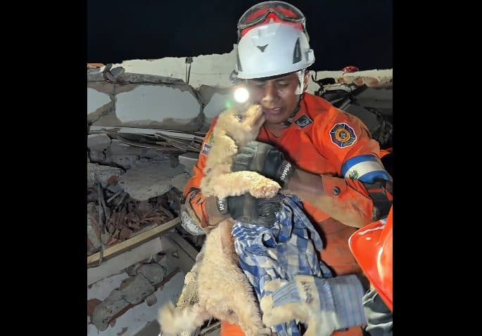 Cada vida cuenta: el conmovedor rescate de una perrita por parte del equipo de El Salvador (VIDEO)