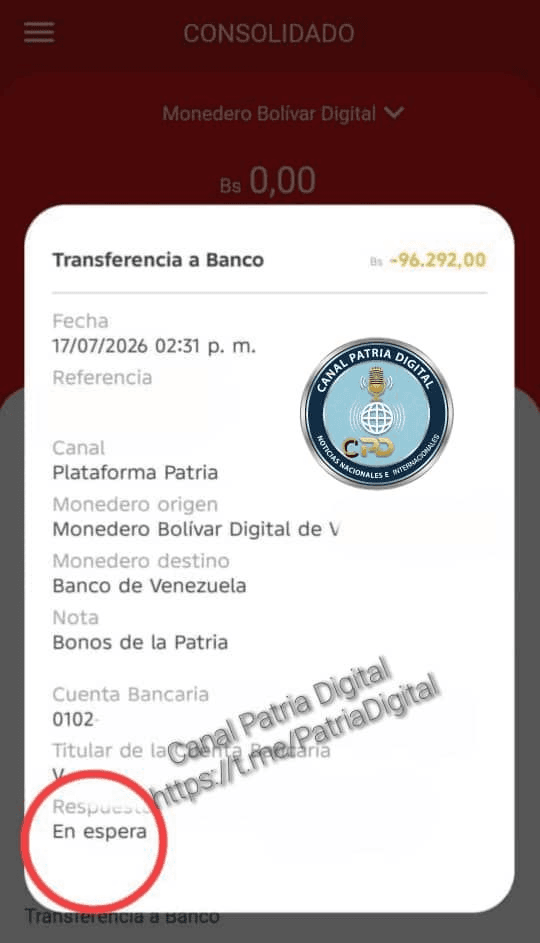 ¿Qué pasa con el bono de Ingreso Integral?: jubilados reciben asignación pero queda «en espera»