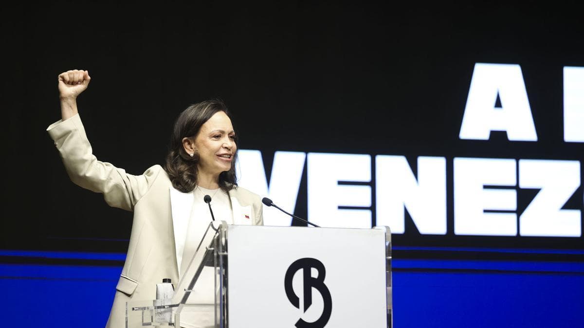 "No hay sociedad tan decidida a avanzar hacia la democracia como la venezolana"