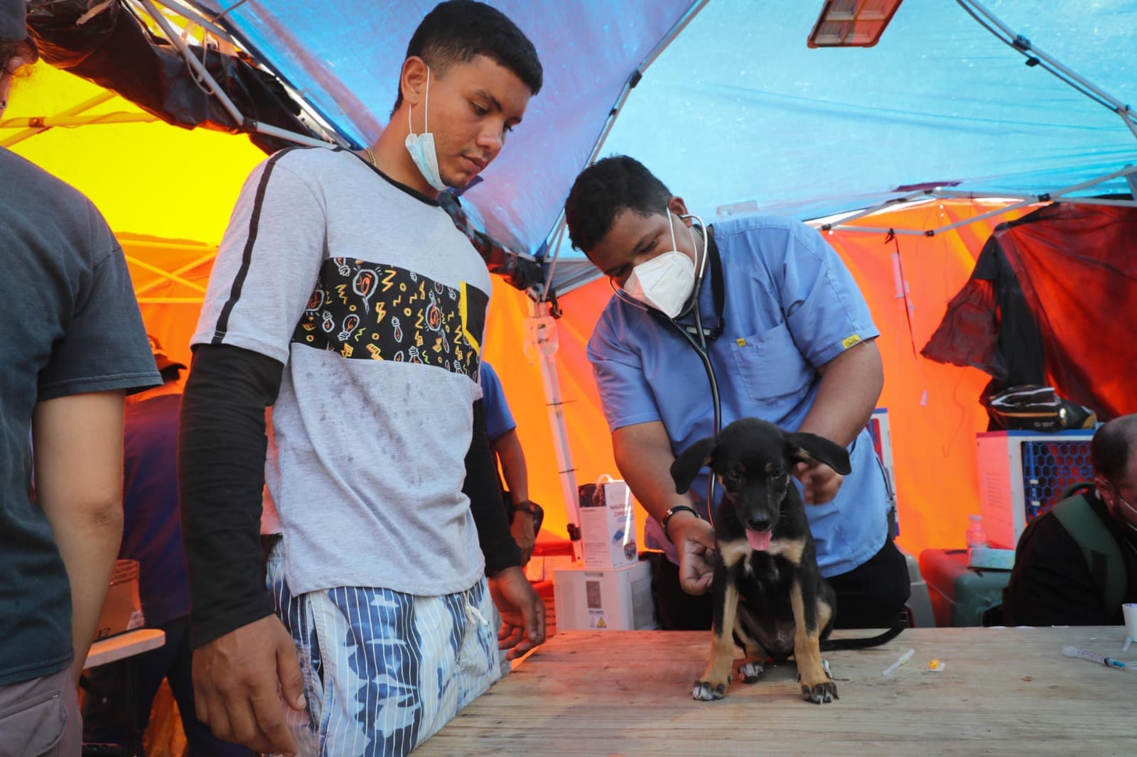 Refugios para mascotas colapsan tras los terremotos en La Guaira