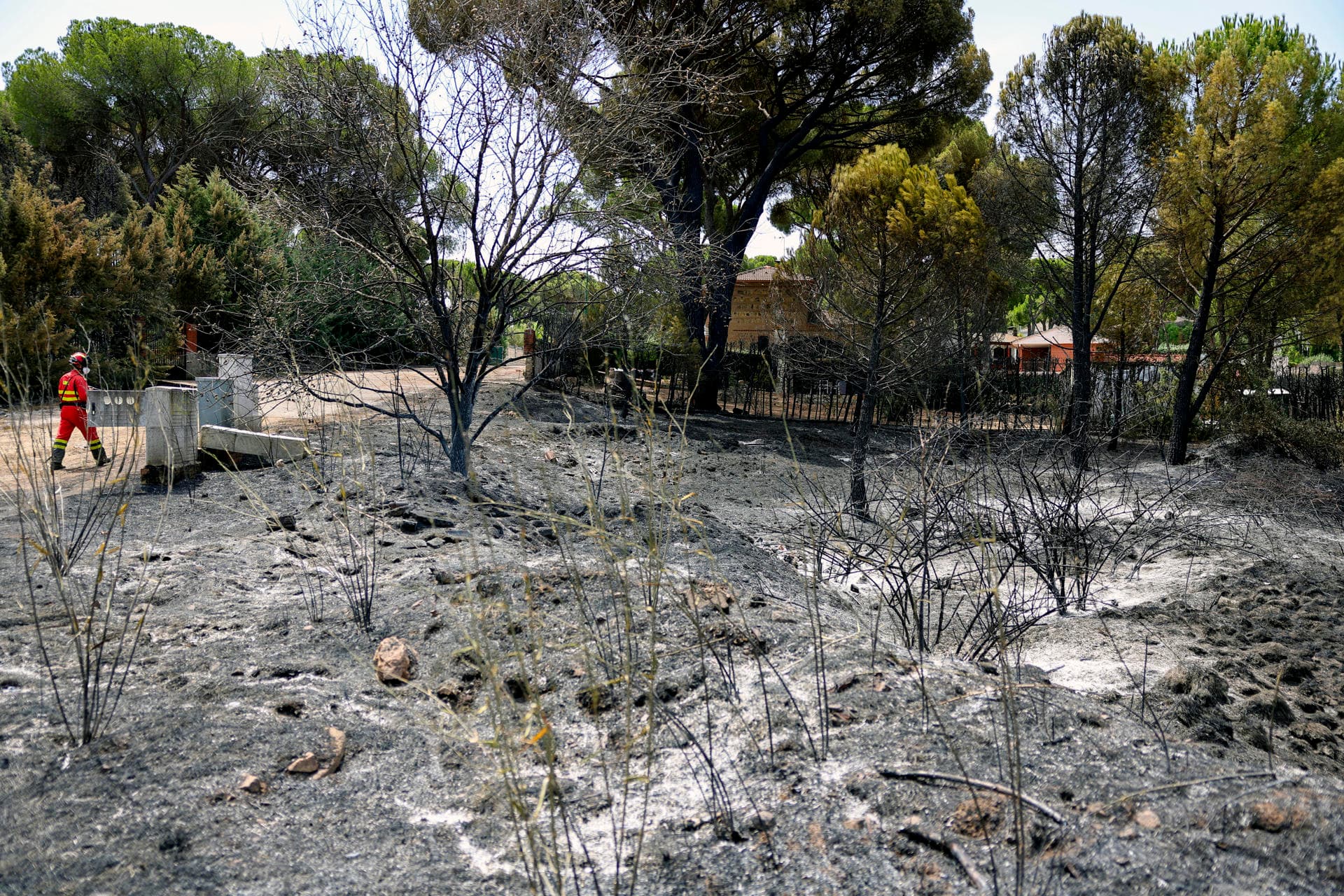 Devastadores incendios forestales ha generado más de 115.000 evacuaciones en España